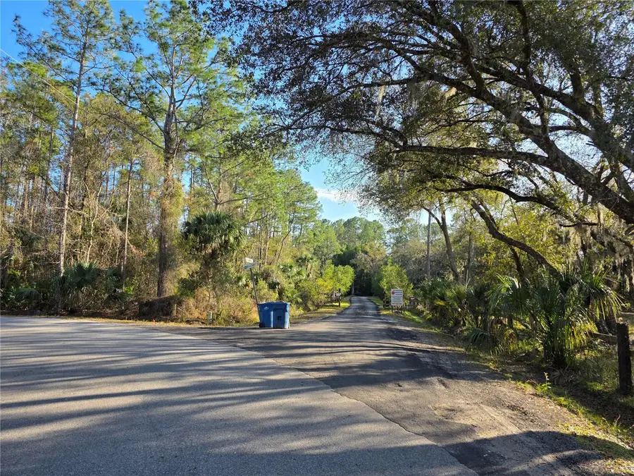 1243 Gee Whiz Drive, Osteen, FL 32764 - Image #3