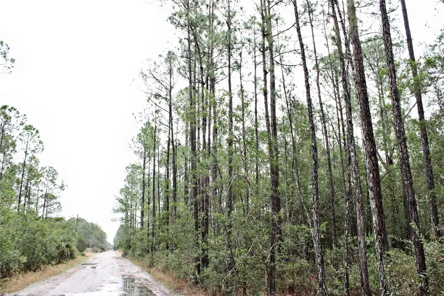 849 Ashby Way, Osteen, FL 32764 - Image #2