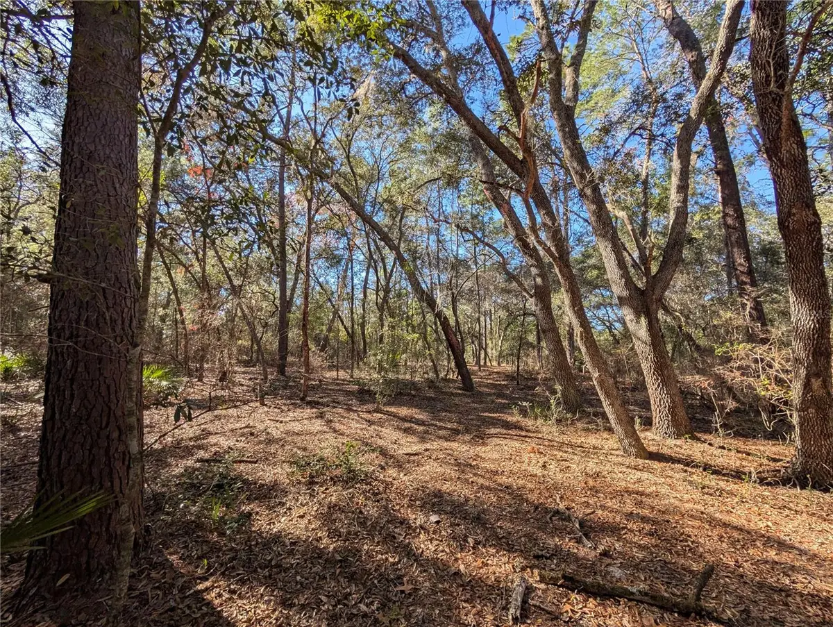 Lake Margaret Blvd, Pomona Park, FL 32181 - #1