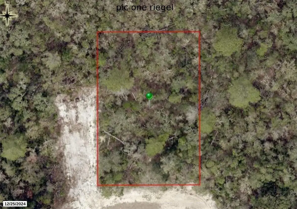 Riegel (paper) Avenue, Orange City, FL 32763 - #1
