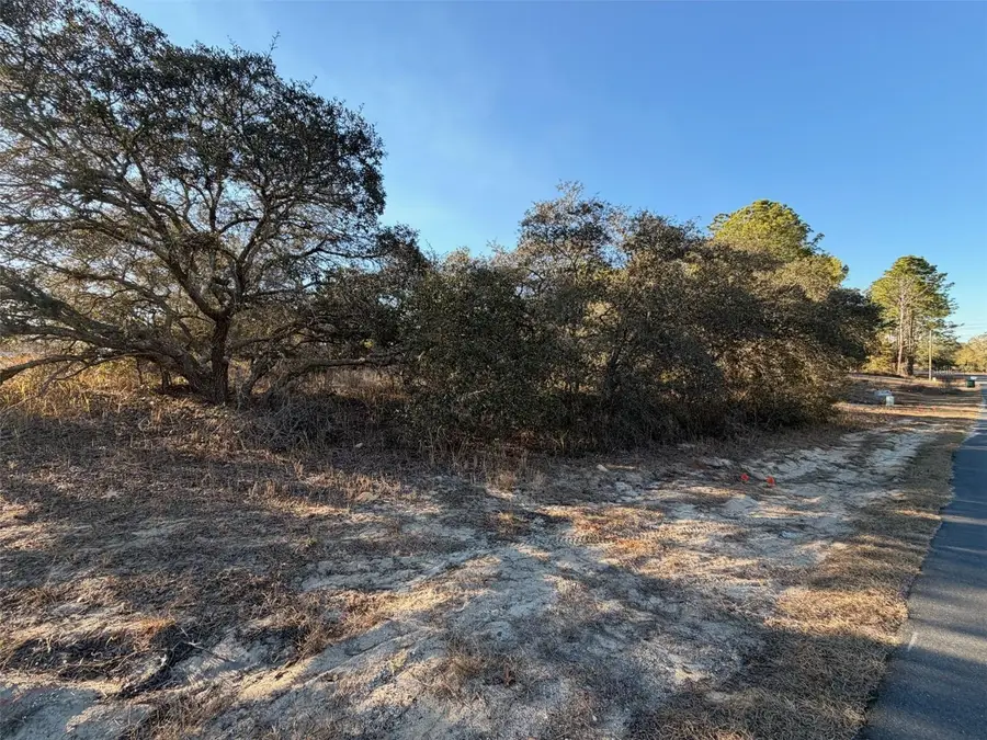 6818 N Waycross Way, Citrus Springs, FL 34433 - Image #2