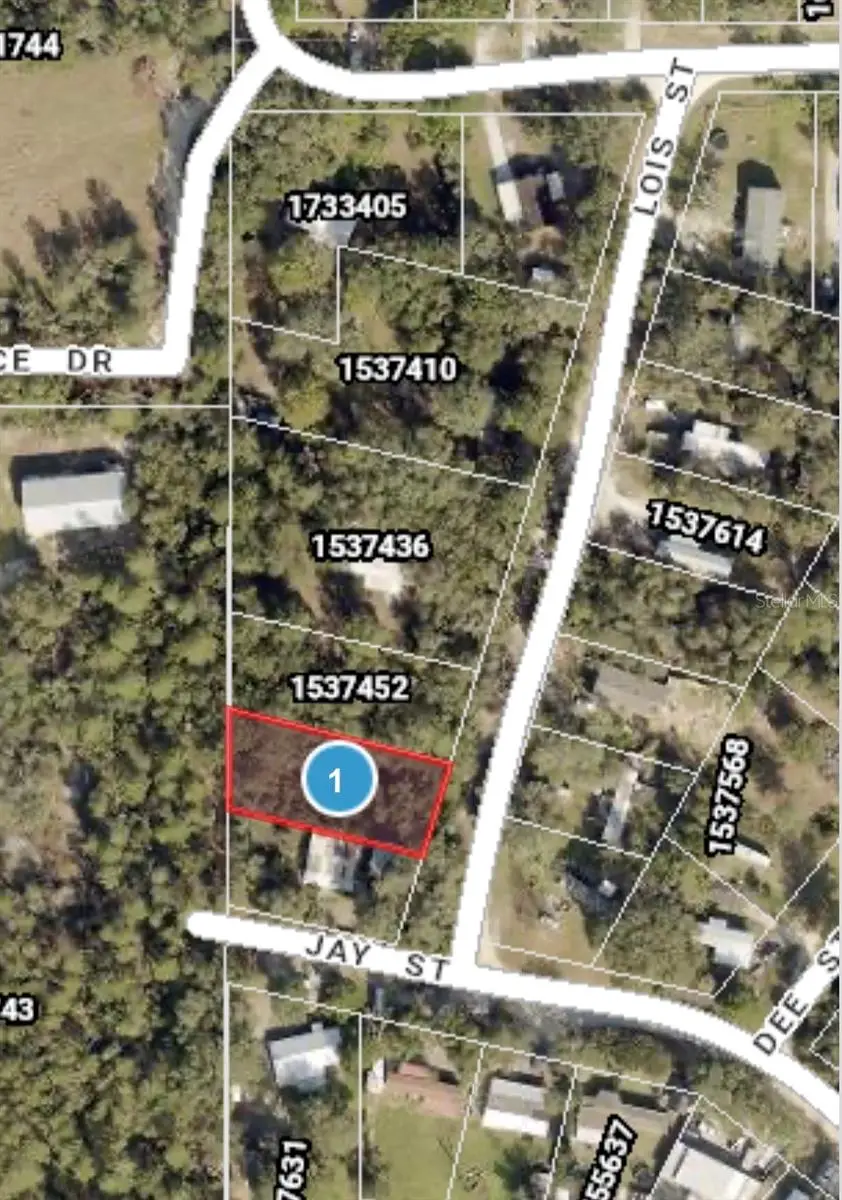 Lois Street, Eustis, FL 32736 - #3