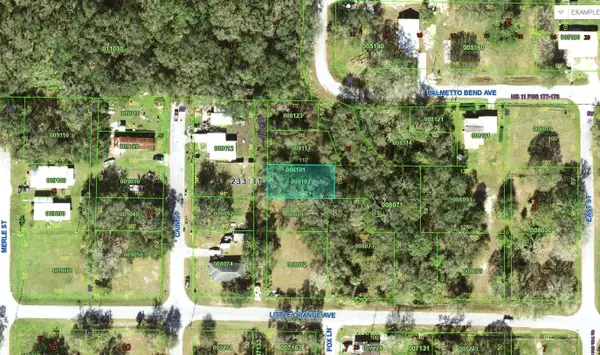 Little Orange Avenue, MULBERRY, FL 33860