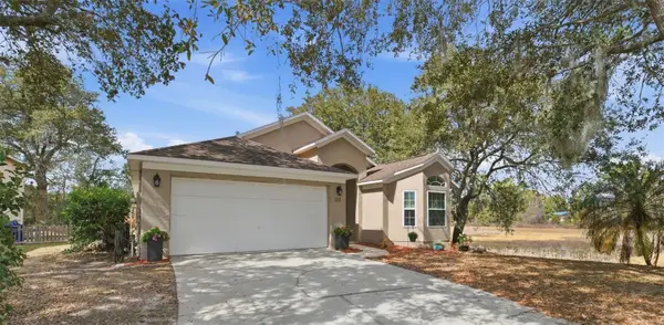 251 Pine Springs Drive, DEBARY, FL 32713