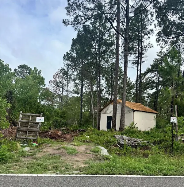 Reynolds Road, DE LEON SPRINGS, FL 32130