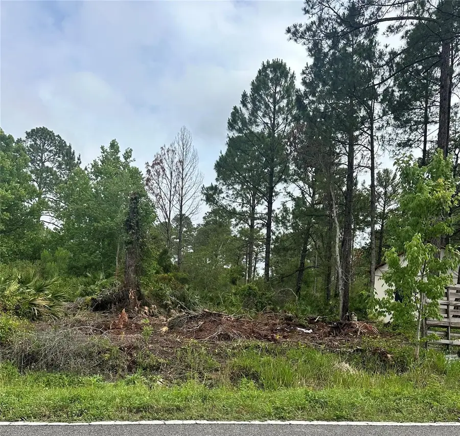 Reynolds Road, De Leon Springs, FL 32130 - #2