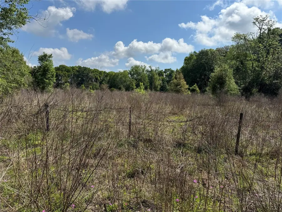 2551 SW 107th Place, Ocala, FL 34476 - #3