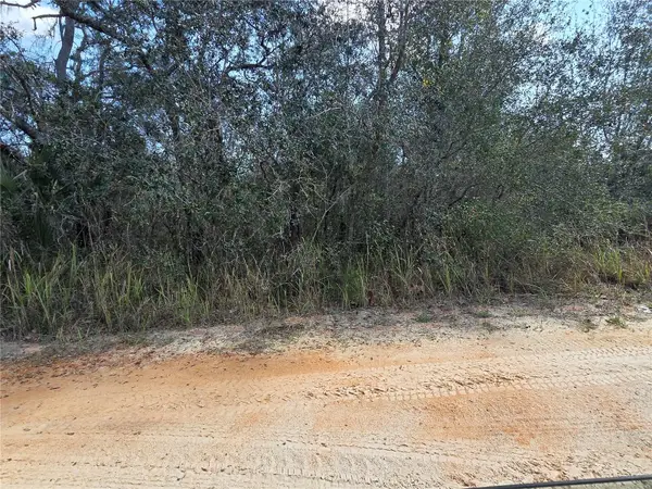 S 7th Street, DELAND, FL 32724