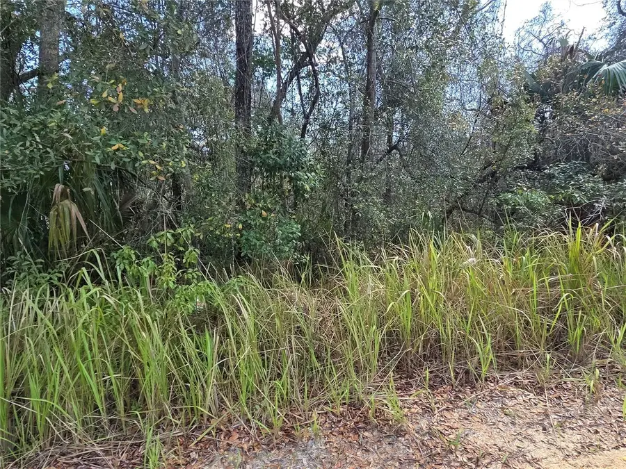 S 7th Street, Deland, FL 32724 - #2