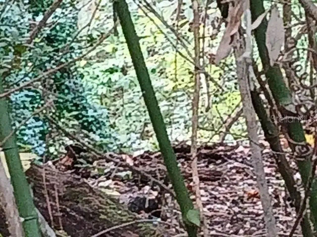 6104 NW 268th Terrace, Newberry, FL 32669 - #2