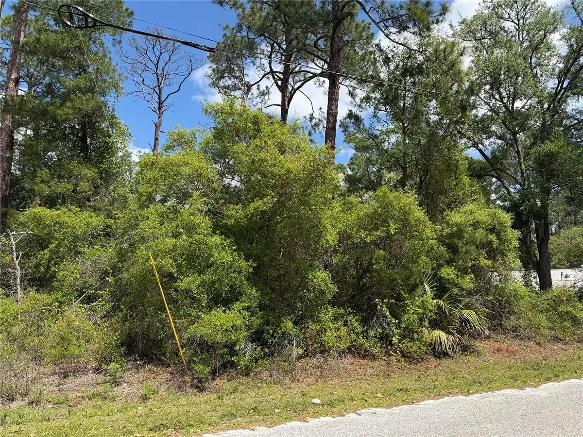 Maryland Street, Paisley, FL 32767 - #1