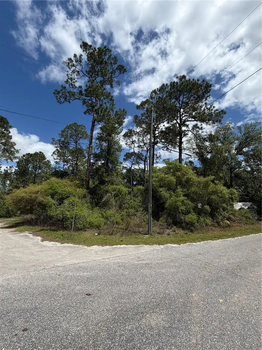 Maryland Street, Paisley, FL 32767 - #2