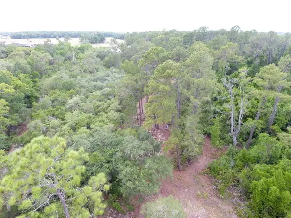 155 Snake Hill Road, POMONA PARK, FL 32181
