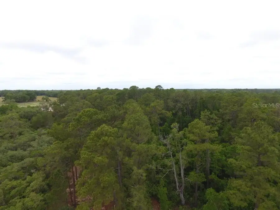 155 Snake Hill Road, Pomona Park, FL 32181 - #3