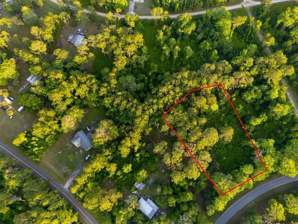 172 Whispering Pines Road, Georgetown, FL 32139 - #1