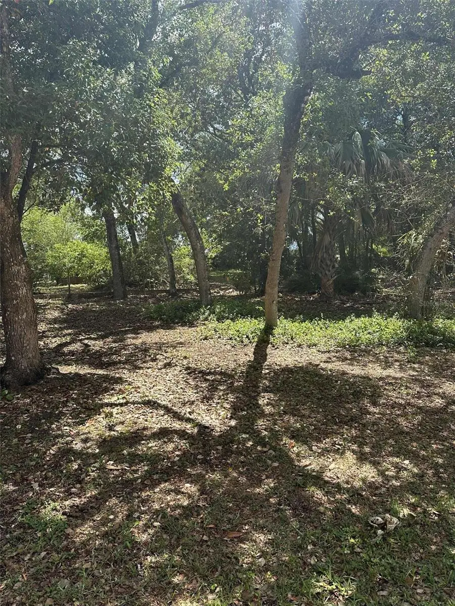 E Elm Drive, Orange City, FL 32763 - #1