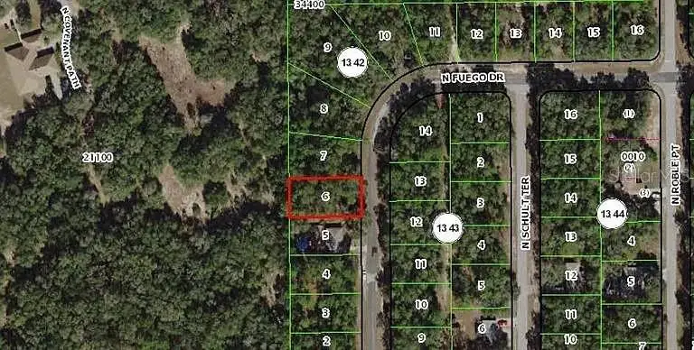 11304 N Fuego Drive, Citrus Springs, FL 34434 - #2