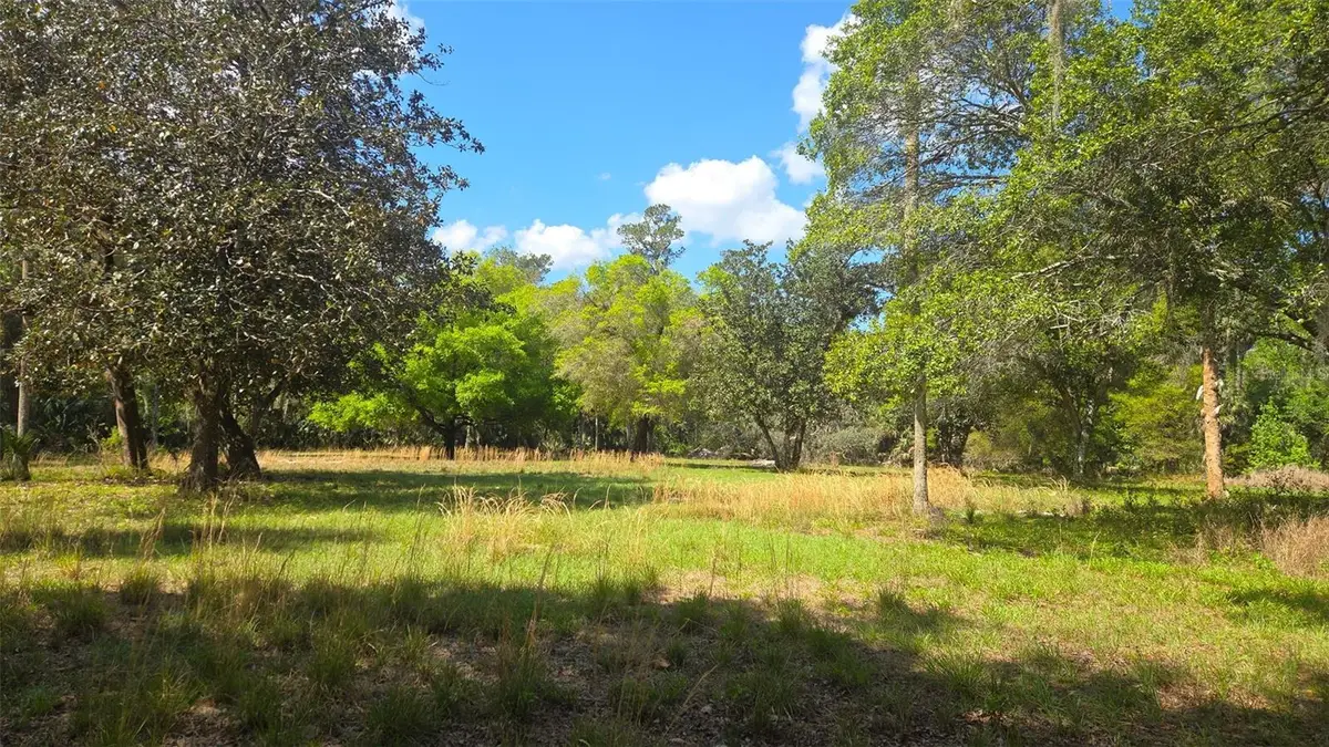 2140 St Johns River Road, Astor, FL 32102 - #1