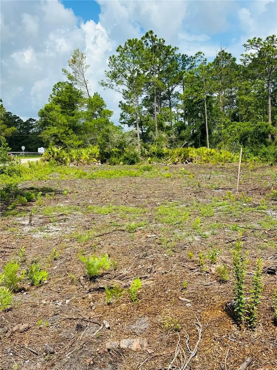 2873 Laurel Road, Deland, FL 32724 - #3