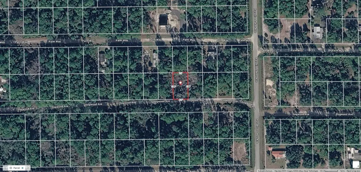 224 Dogwood Avenue, Georgetown, FL 32139 - #1