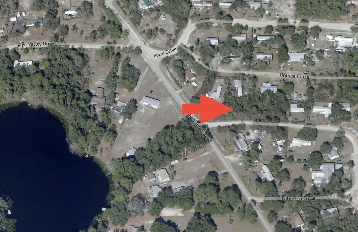 Palmetto Circle, Paisley, FL 32767 - #1