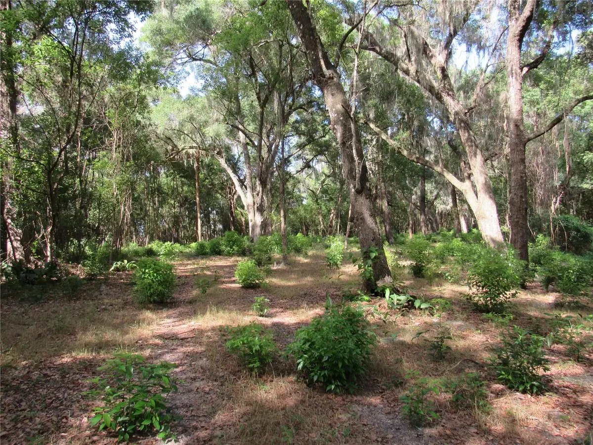 Oak Valley Drive, Deland, FL 32720 - #1