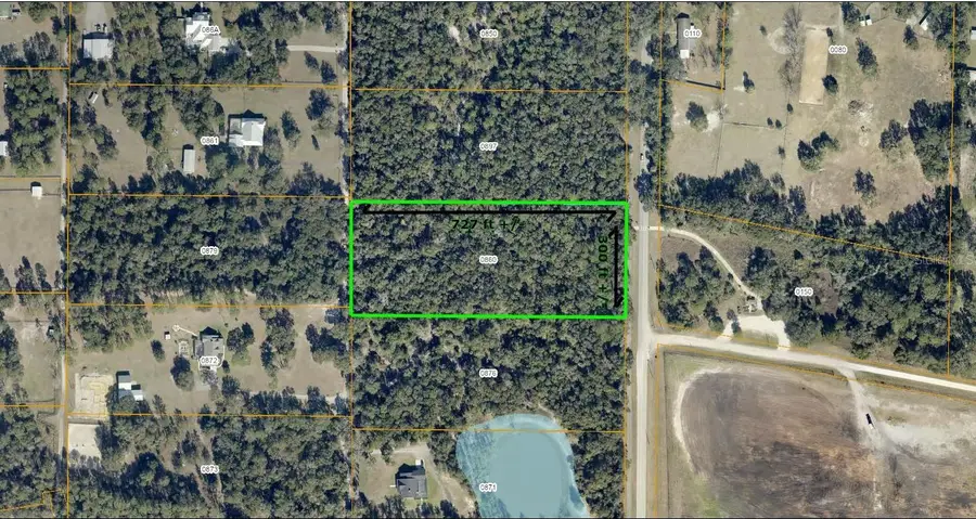 Seabiscuit Trail, Deland, FL 32720 - #3