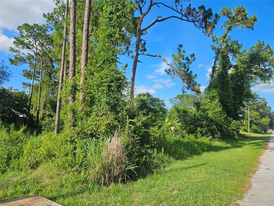 2318 Whitehorse Street, Deltona, FL 32738 - #2