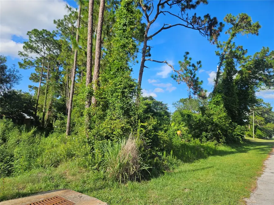 2318 Whitehorse Street, Deltona, FL 32738 - #3