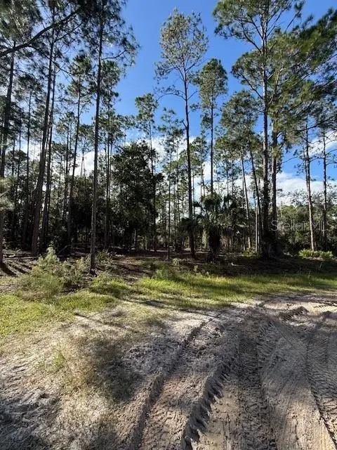 215 Hideaway Lane, Georgetown, FL 32139 - #2