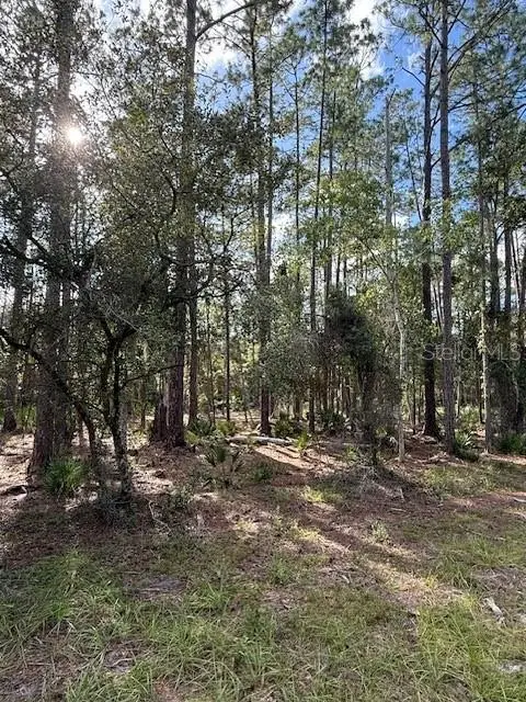 207 Ocala Court, Georgetown, FL 32139 - #2