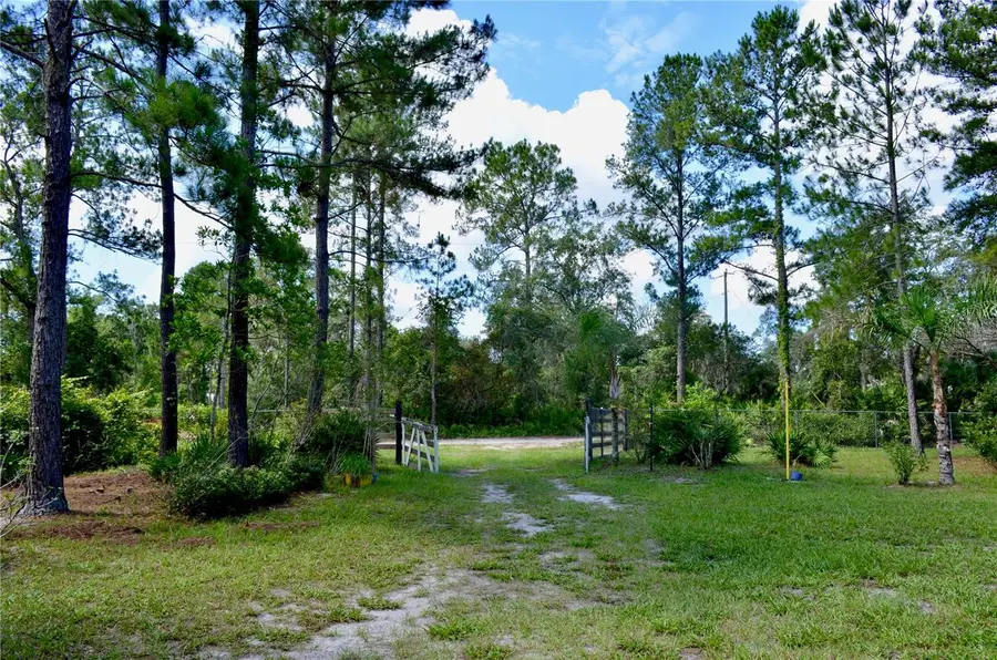33135 Forest Ridge Road, Deland, FL 32720 - #2