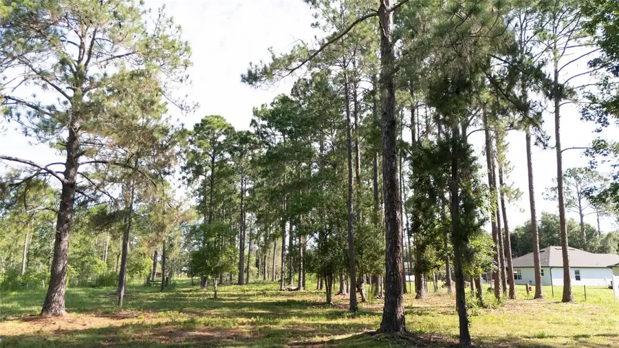 No Street, Deland, FL 32720 - #2