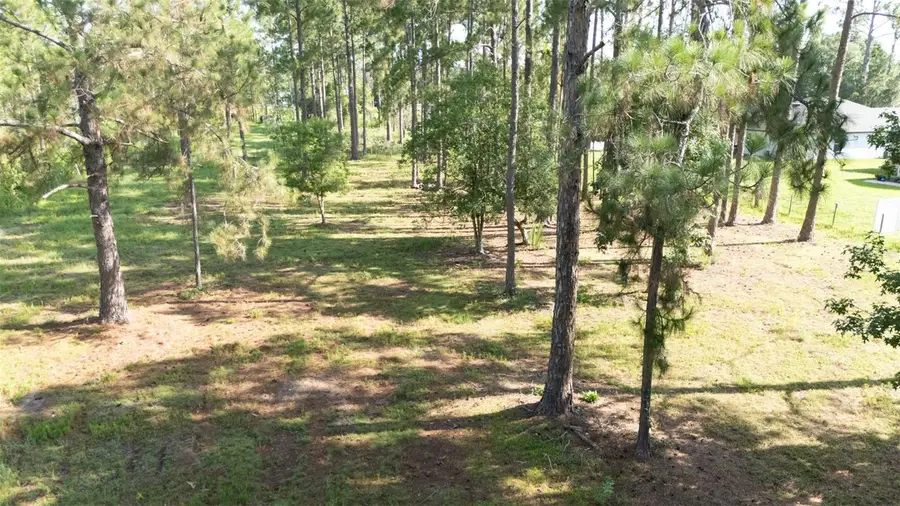 No Street, Deland, FL 32720 - #3