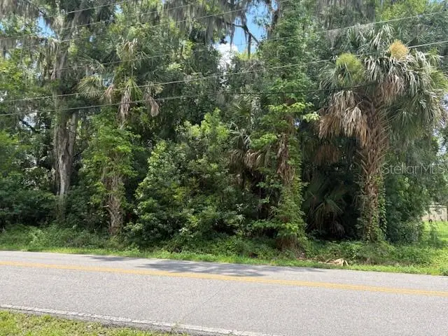 2263 Hontoon Road, Deland, FL 32720 - #3