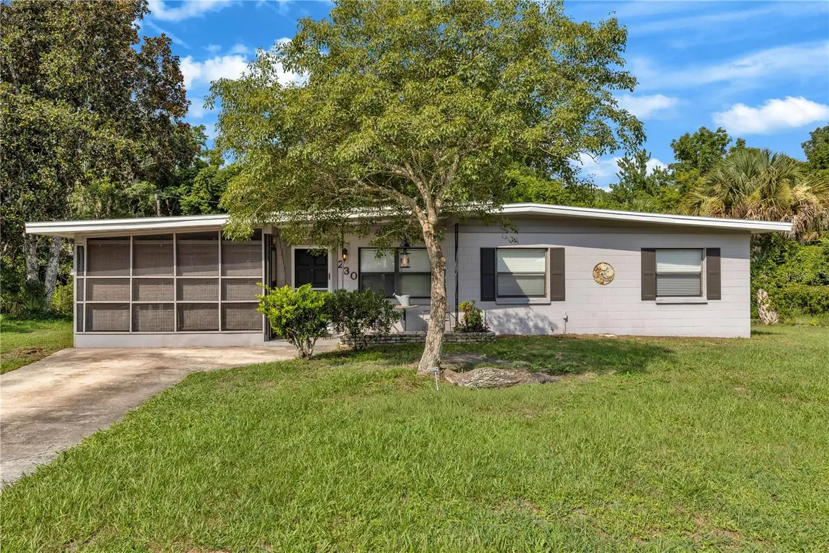 230 Flamingo Drive, Sanford, FL 32773 - #1
