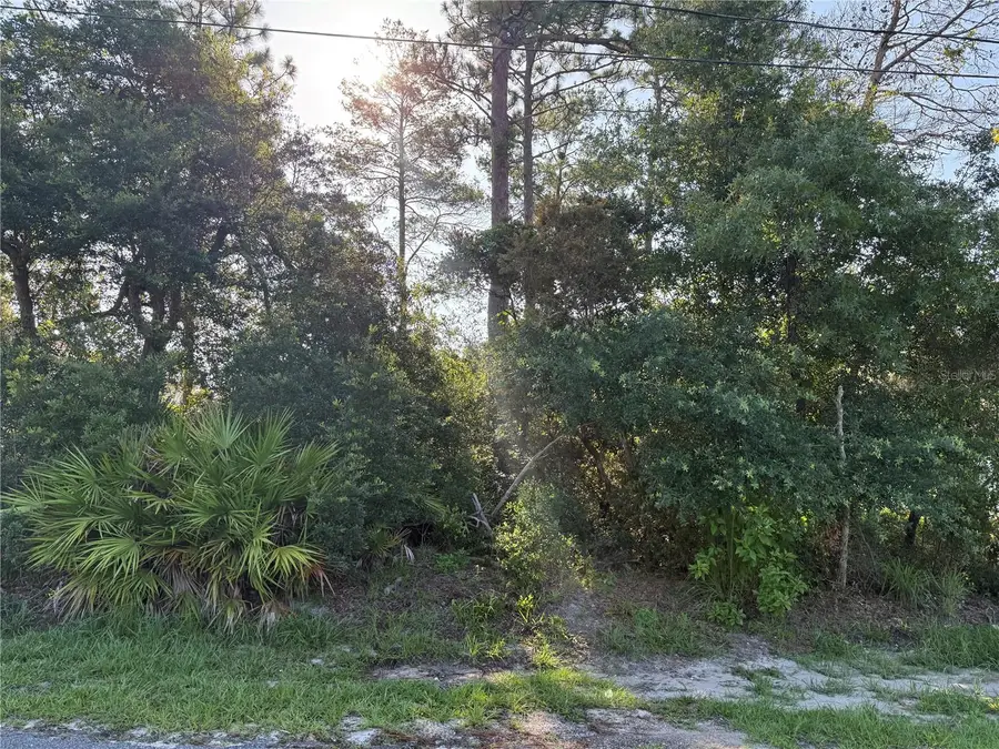 Hickory Avenue, Orange City, FL 32763 - #3