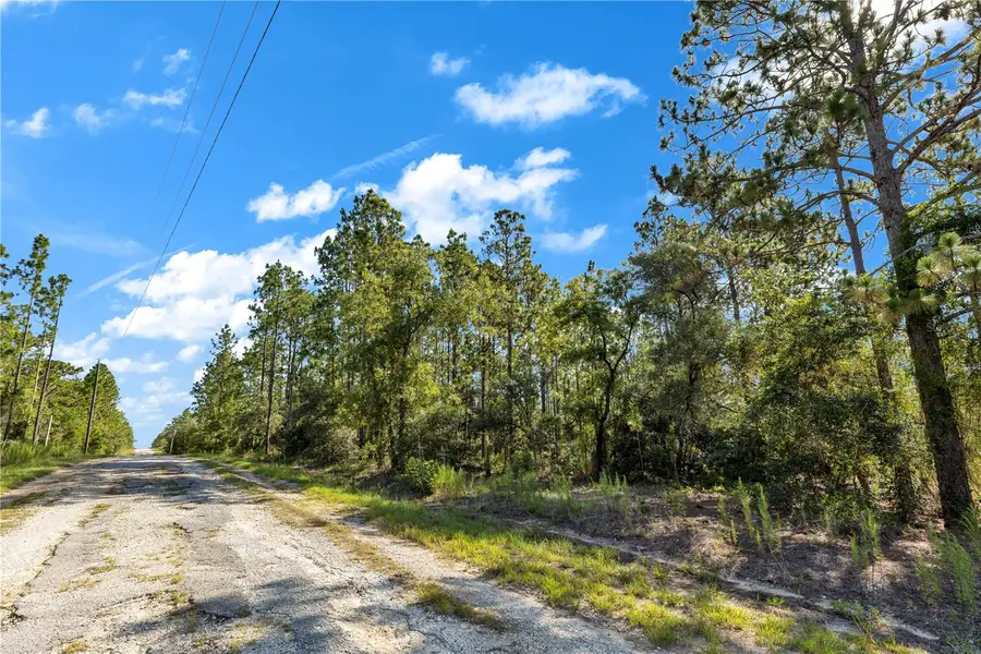 Lots 17 And 17 Se 130th Ct, Dunnellon, FL 34431 - #2