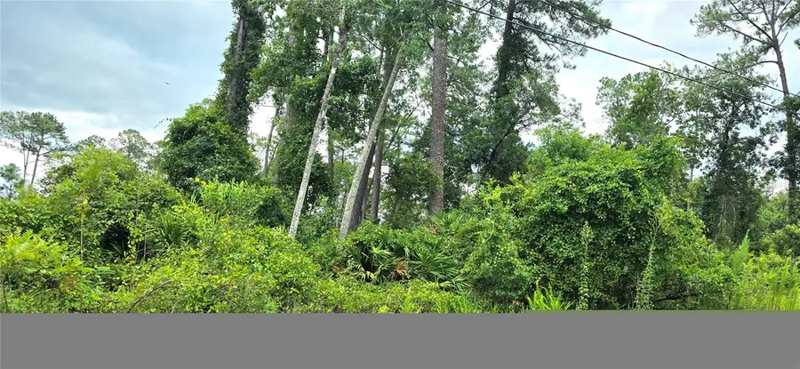 10th Avenue, Deland, FL 32724 - #3