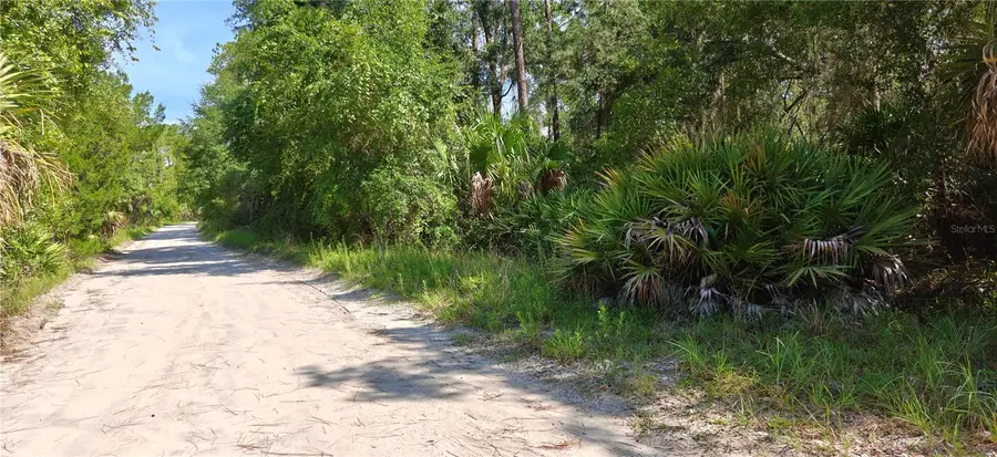 212 N 2nd Avenue, Satsuma, FL 32189 - #2