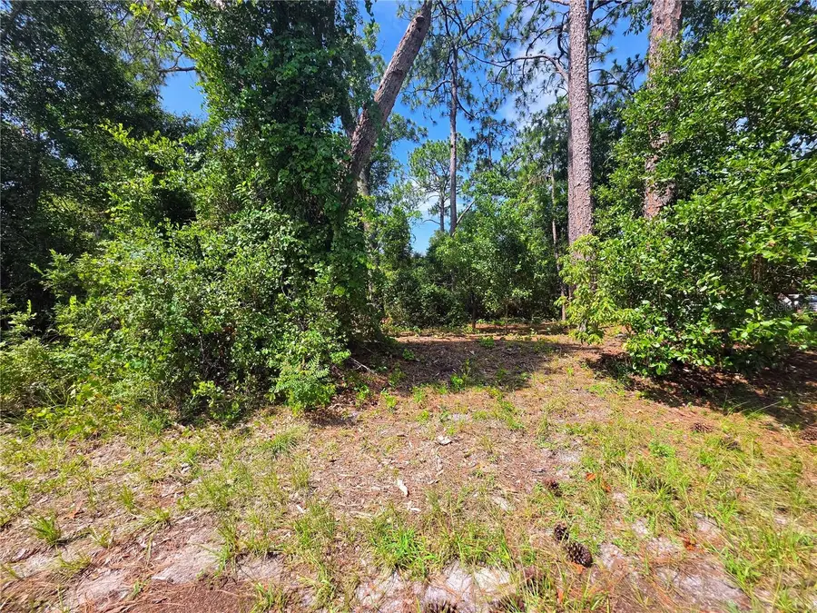 1255 Myra Court, Deltona, FL 32738 - #2