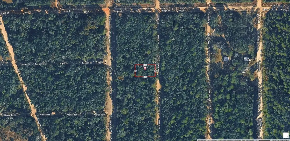 Brett, Interlachen, FL 32148 - #1