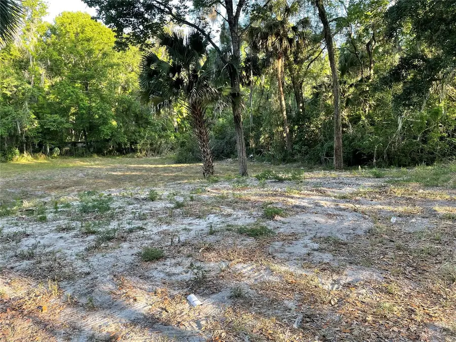 Park Avenue, De Leon Springs, FL 32130 - #2