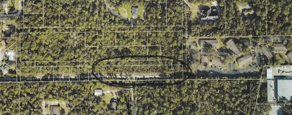 Nelson Avenue, ORANGE CITY, FL 32763