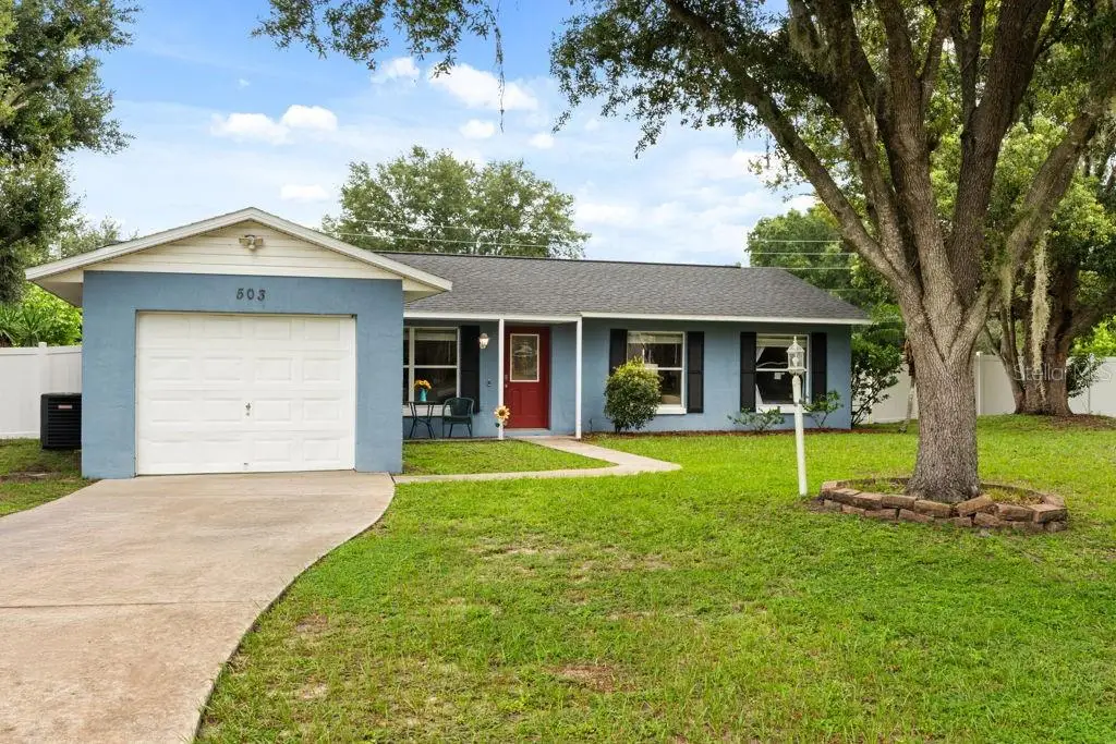 503 Dorothy Circle, Eustis, FL 32726 - #1