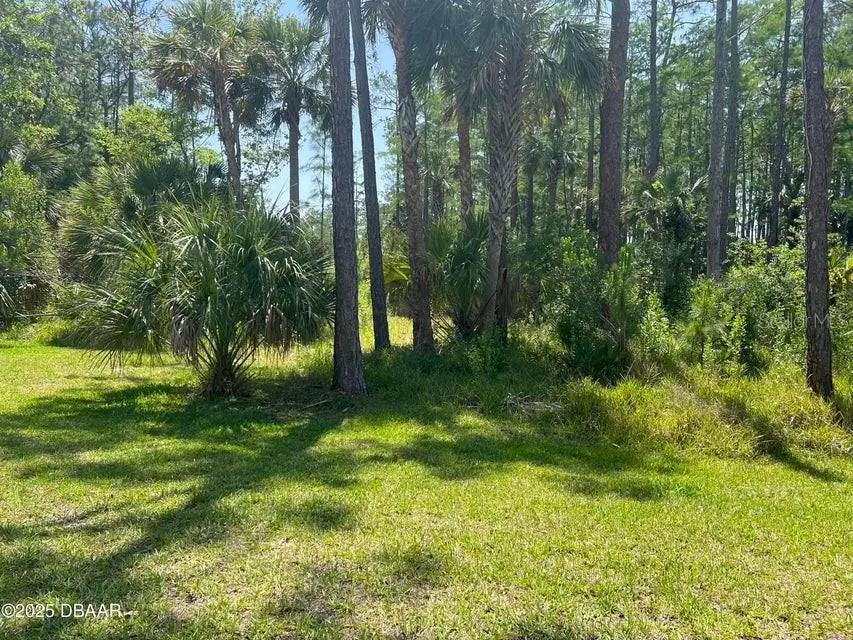 3 Remington Road, Ormond Beach, FL 32174 - #2