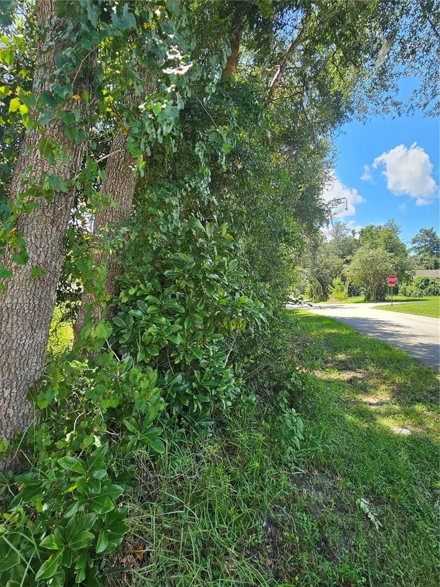 18th Street, Orange City, FL 32763 - #3