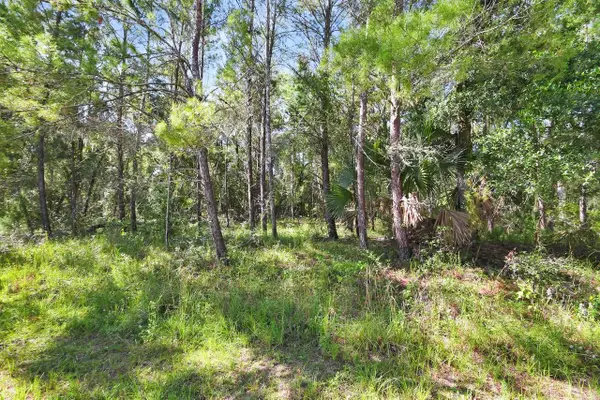 1964 S Farm Road, DELAND, FL 32720