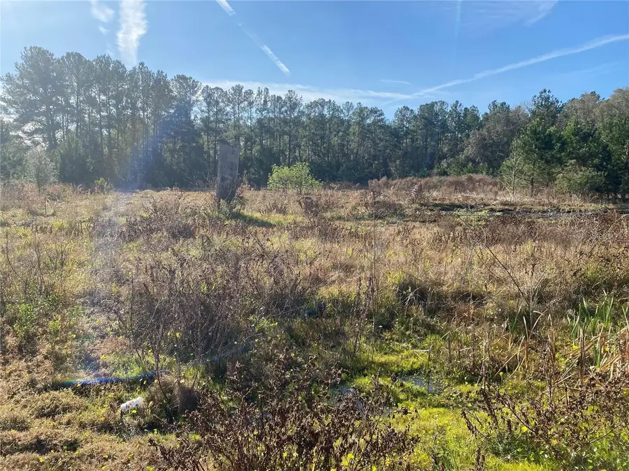 956 Us Highway 17, Satsuma, FL 32189 - #3