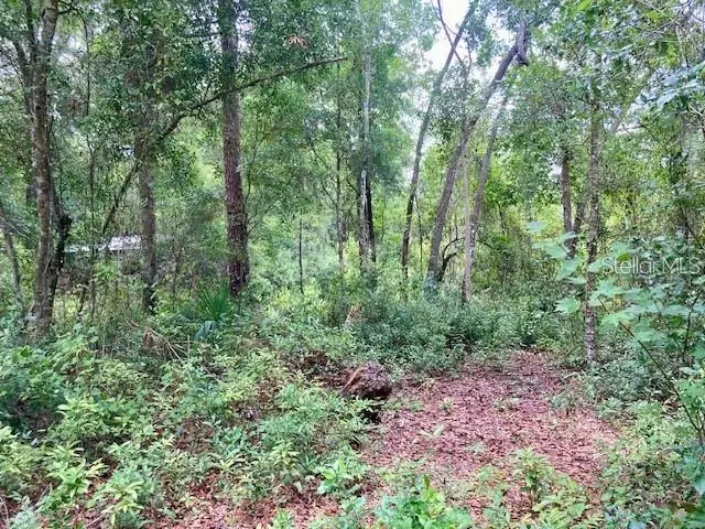 407 Raulerson Road, Seville, FL 32190 - #1